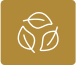 eco-friendly-icon