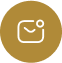 email-icon